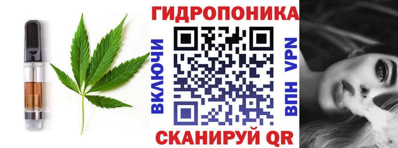 Canna-Cookies конопля  наркошоп  Нальчик 