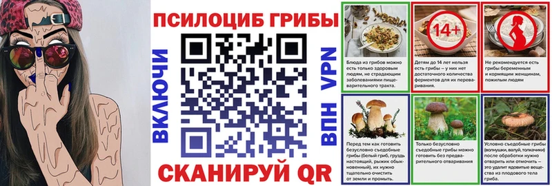 Галлюциногенные грибы Psilocybine cubensis Нальчик